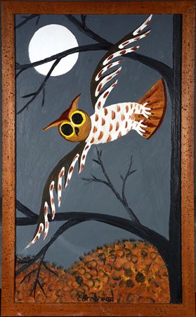 Night Owl In Flight.
