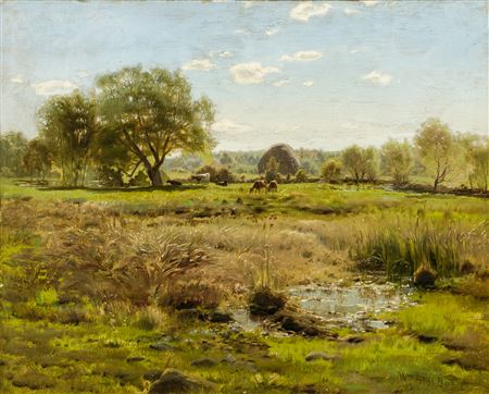 Summer Pasture