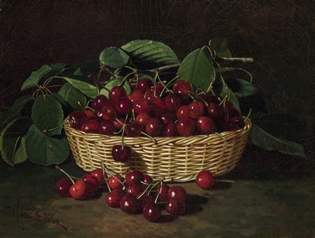 Basket of Cherries