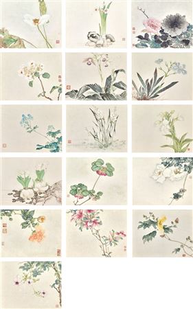 An Album of Delightful Flowers