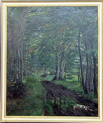 Forest scene