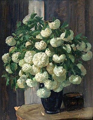 Flowers of viburnum in the vase