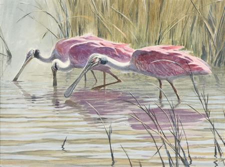 "Wading Roseate Spoonbills" by Al Barnes - Auction record, sale price, and art valuation. Compare with similar artists and explore comparable artworks.