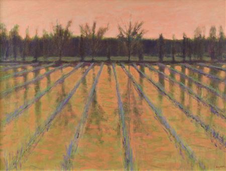 "Flooded Field"