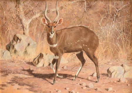 "Bushbuck," 1990