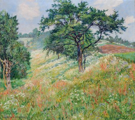 Sommerlandschaft in Niederwartha bei Dresden