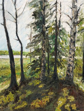 "Waldstück, Finnland 6."