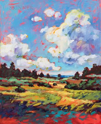 Summer Sky on the Vineyard