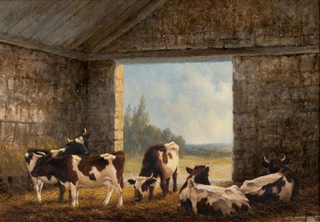 Cows in a Barn