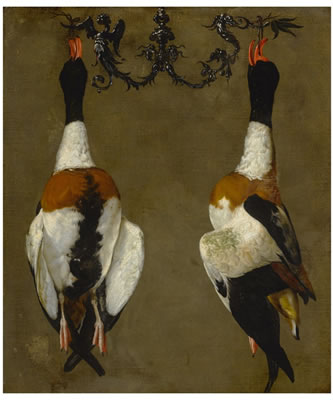 Still life of two shelducks hanging from their bills