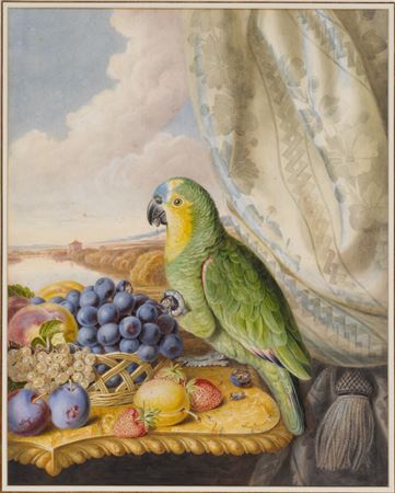 A parrot eating from a bowl of grapes, plums, peaches and strawberries with a river landscape beyond
