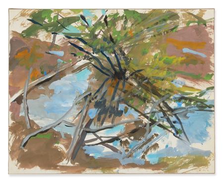 Catskill Woods Study