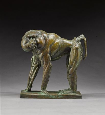 Baboon