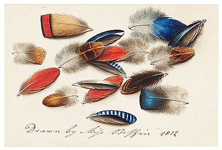 Study of feathers by Sarah Wright Biffin - Auction record, sale price, and art valuation. Compare with similar artists and explore comparable artworks.