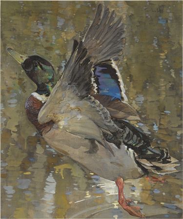 Sample artwork by Joseph Crawhall (1861 - 1913), known for animal and bird painting and sculpture - View similar artists and auction records