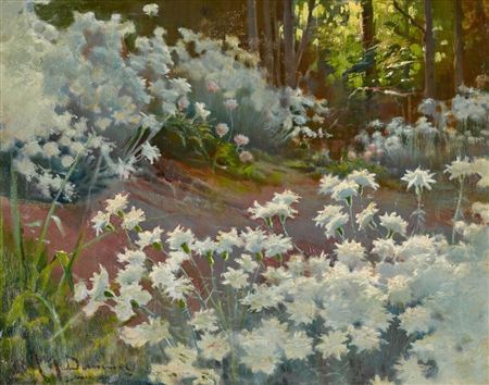 A woodland path with flowers
