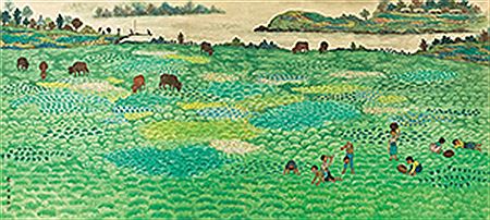 Cows and Boys