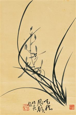 Orchids