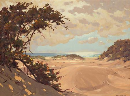 View over the Dunes