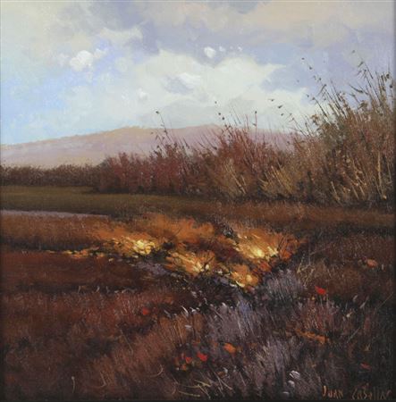 Paisaje