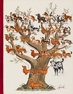 Family Tree