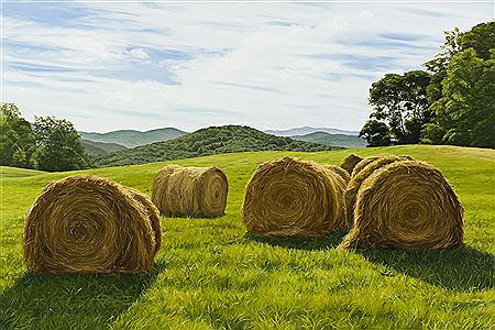 Round Bales, Ryegate, Vermont
