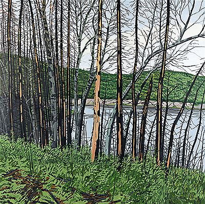 Shaled Trees, Alagash