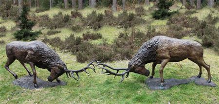 A pair of red deer stags by John Cox - Auction record, sale price, and art valuation. Compare with similar artists and explore comparable artworks.
