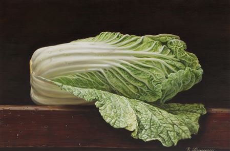 Still life of a cabbage