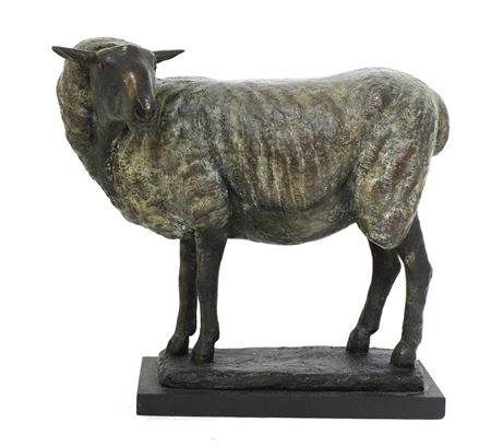 A study of an ewe