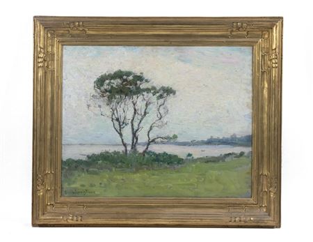 A Brace of Trees on a Summer Shoreline