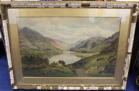 Extensive Lakeland landscape