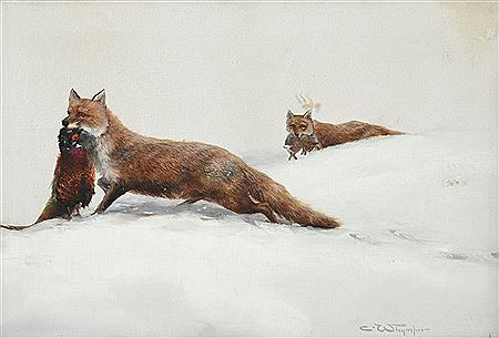 Foxes in the snow with their kill