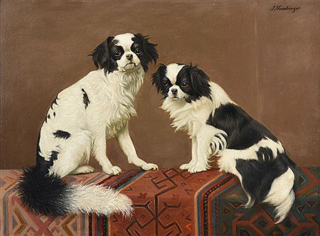 Two Japanese Chins on a carpet