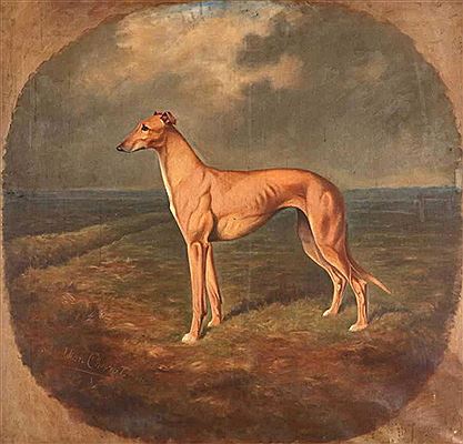 Portrait of Shortcoming, winner of the Waterloo Cup 1921 standing in an extensive landscape