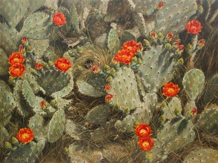 Blooming Cactus, 1985 by Helen Hunter - Auction record, sale price, and art valuation. Compare with similar artists and explore comparable artworks.