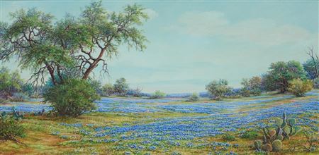 "Bluebonnet Solitude" by Exa Wall - Auction record, sale price, and art valuation. Compare with similar artists and explore comparable artworks.
