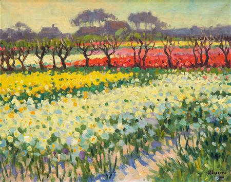 Daffodil and tulip fields in Bakkum, Noord-Holland