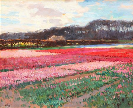 Tulips fields near Hillegom