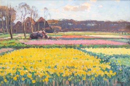 In the tulips fields