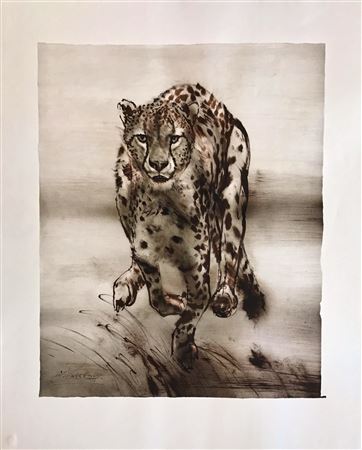 Gepard