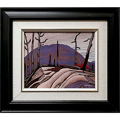 CHARRED DEADWOOD - LAKE SUPERIOR