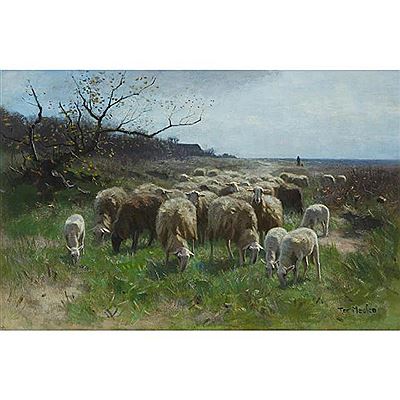 SHEEP, CIRCA EARLY 20TH CENTURY
