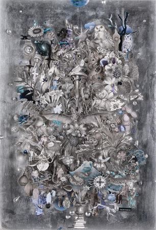 Still Life in a Silver Shadow