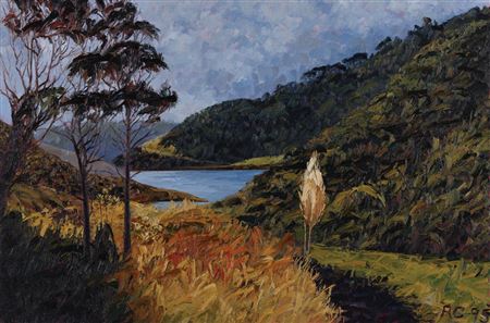 Lake Wainamu, Te Henga, Summer