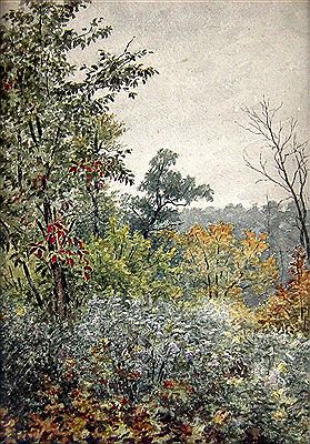 Woodland Landscape
