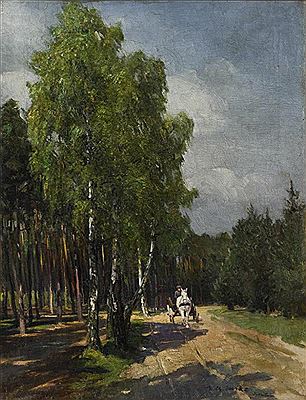 Kutscher auf sonnigem Weg