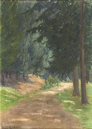Sunny Forest Path