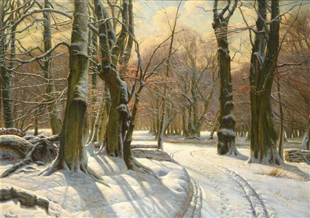 Sunny Winter Landscape