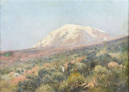 View to Kiliminjaro